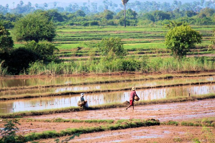 Battambang Divers (3)