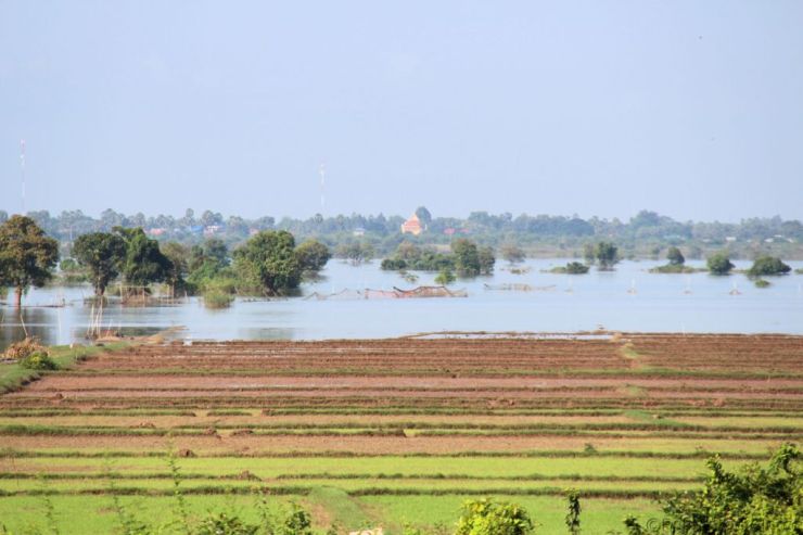 Battambang Divers (5)