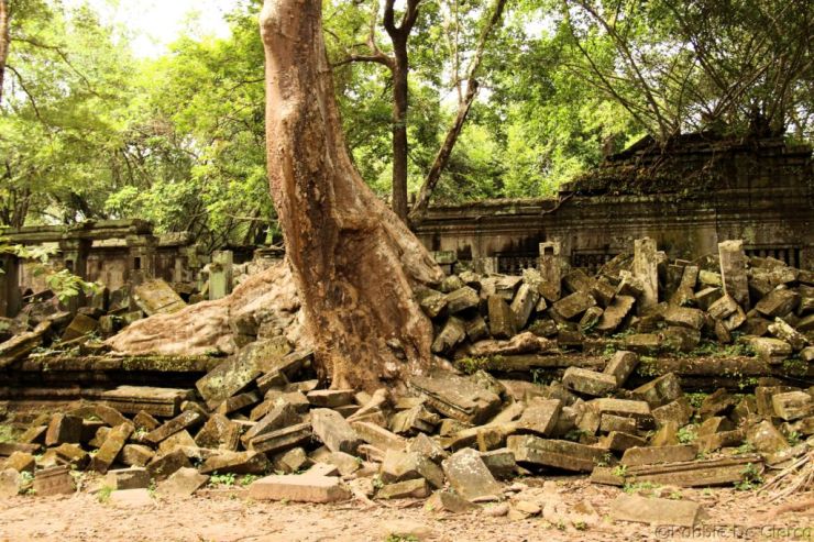 Beng Mealea (114)