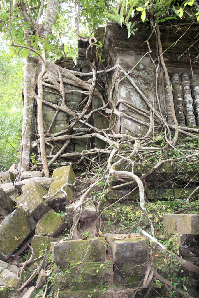 Beng Mealea (54)
