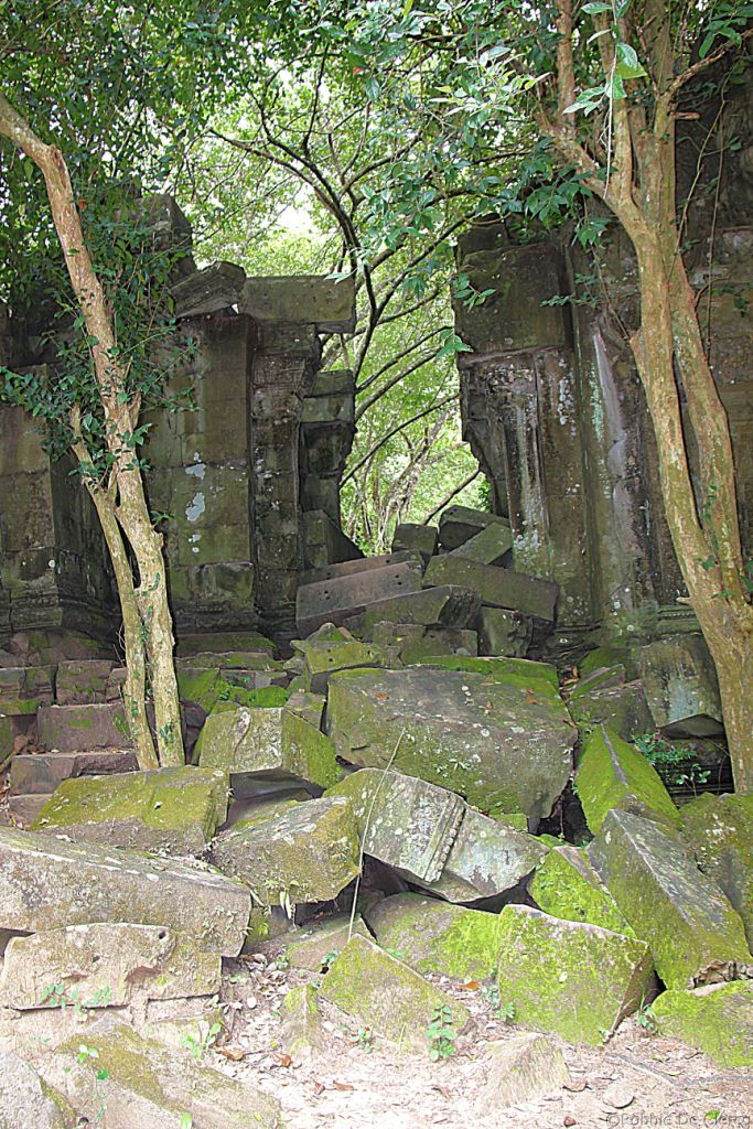 Beng Mealea (86)