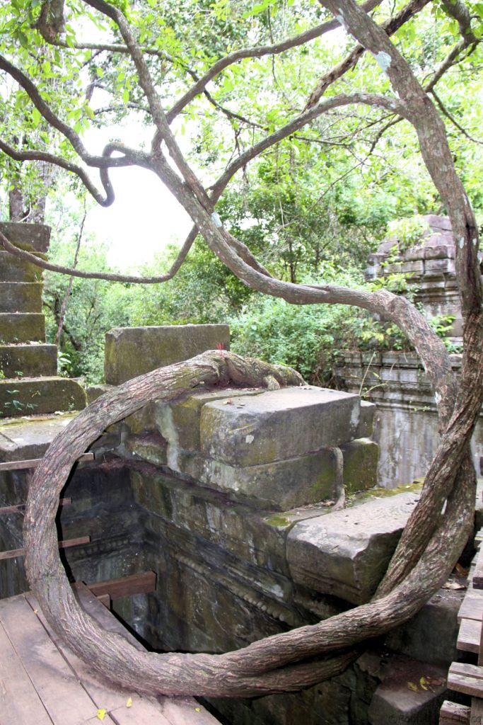Beng Mealea (97)