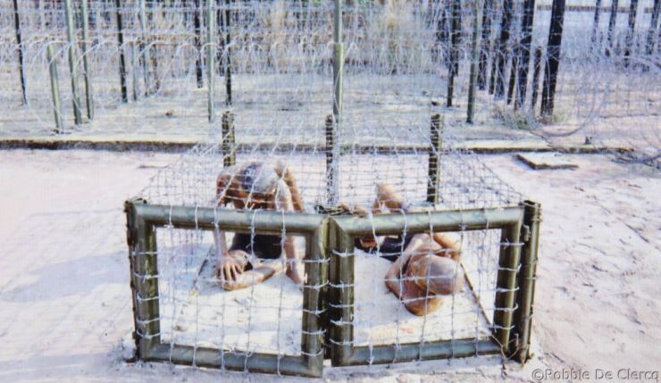 Con Dao Gevangenis (1)