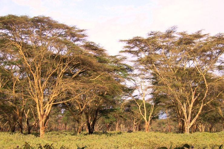 Crater Lake Game Sanctuary (58)