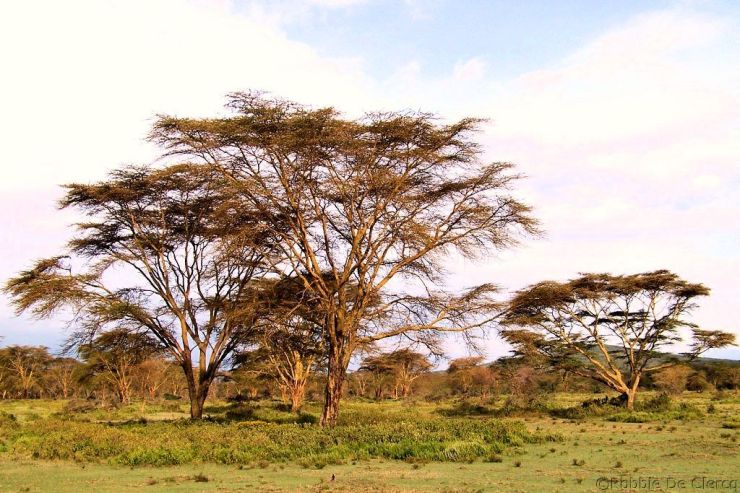 Crater Lake Game Sanctuary (60)
