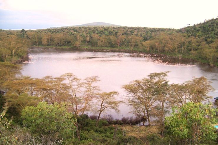 Crater Lake Game Sanctuary (62)