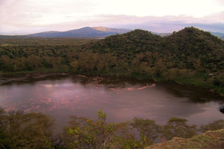 Crater Lake Game Sanctuary (64)