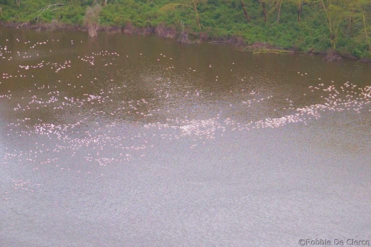 Crater Lake Game Sanctuary (65)