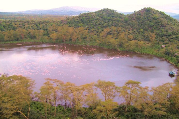 Crater Lake Game Sanctuary (71)