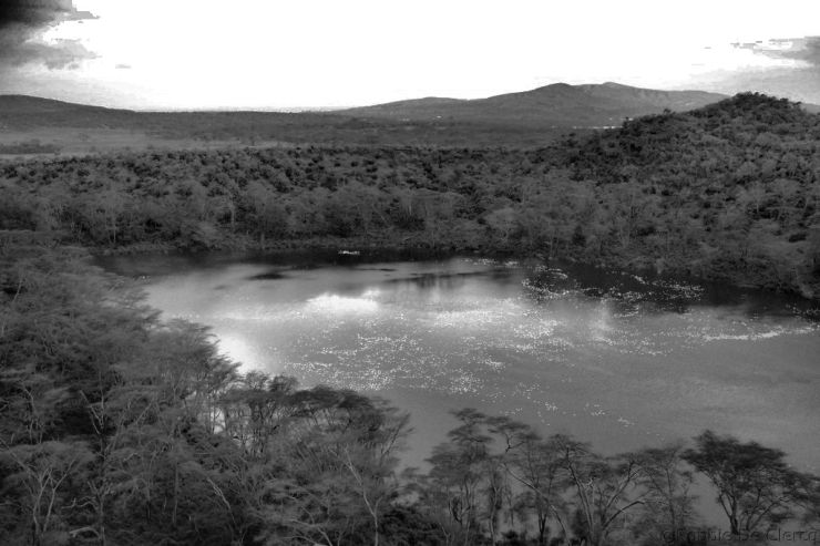 Crater Lake Game Sanctuary (72)