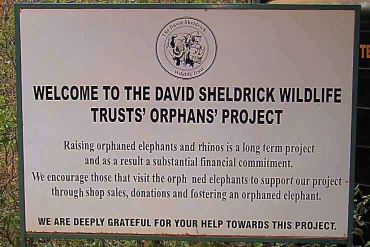 David Sheldrick Wildlife Project (1)