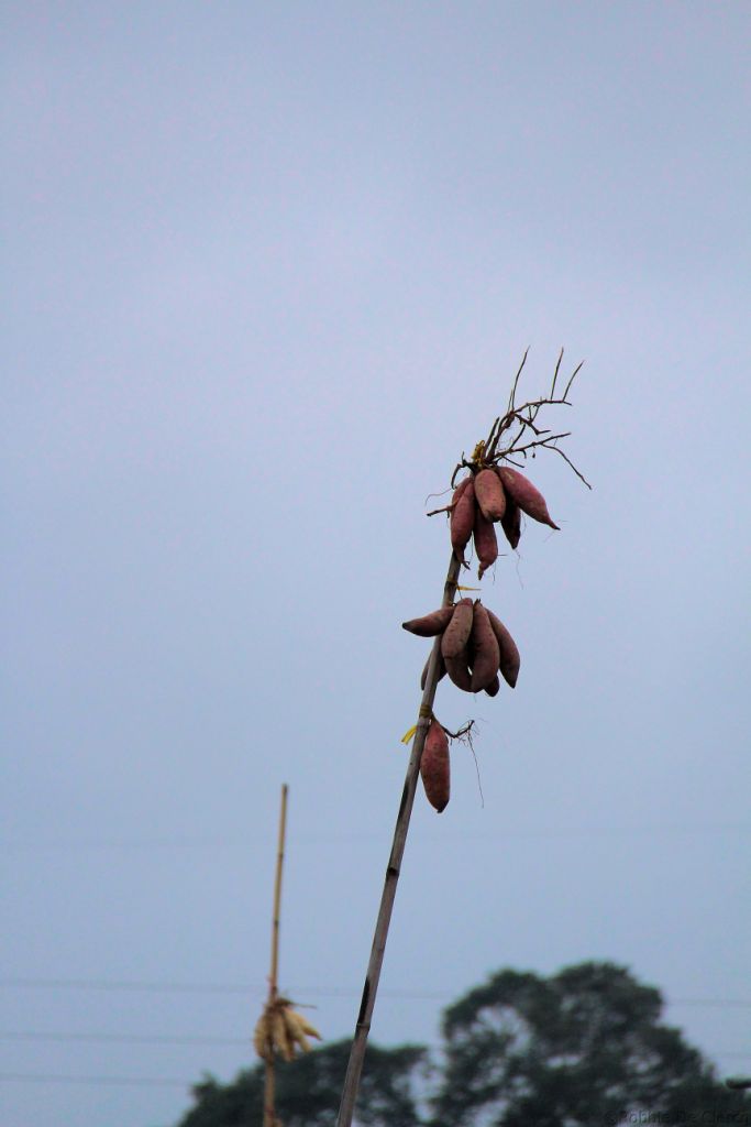 Drijvende markt (10)