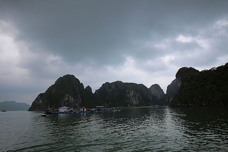 Ha Long Bay (11)