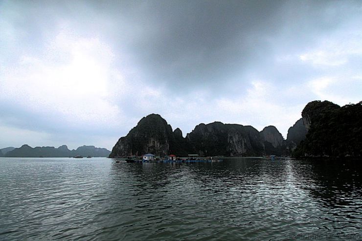 Ha Long Bay (7)
