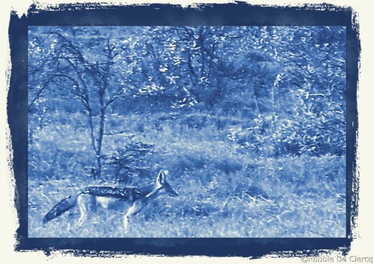 Hell's Gate national Park (13)