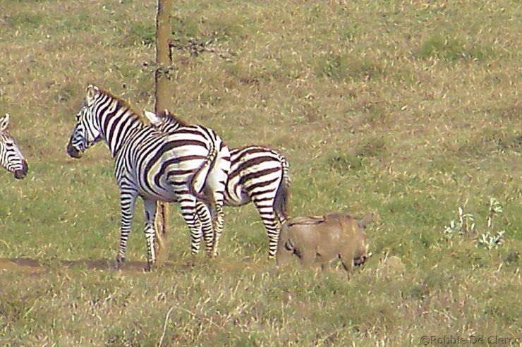 Hell's Gate national Park (16)