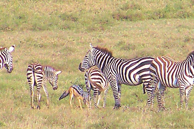 Hell's Gate national Park (17)