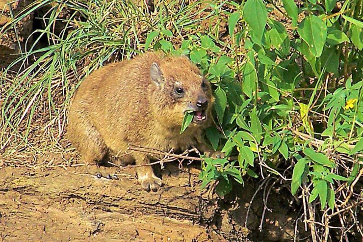 Hell's Gate national Park (2)