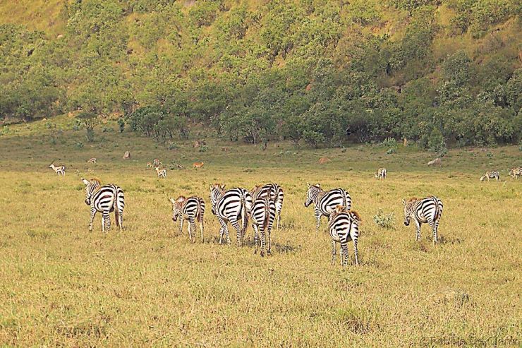 Hell's Gate national Park (22)