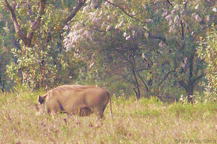 Hell's Gate national Park (25)