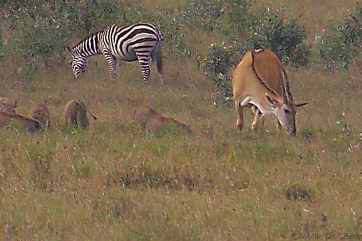 Hell's Gate national Park (26)