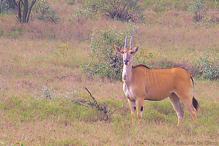 Hell's Gate national Park (32)