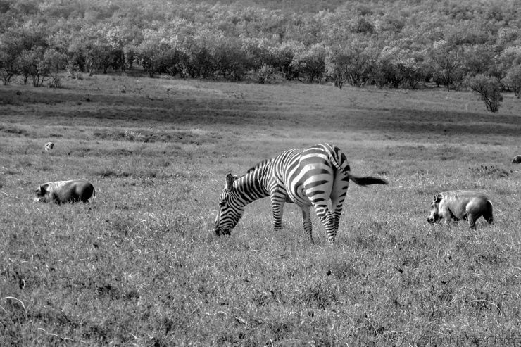 Hell's Gate national Park (37)