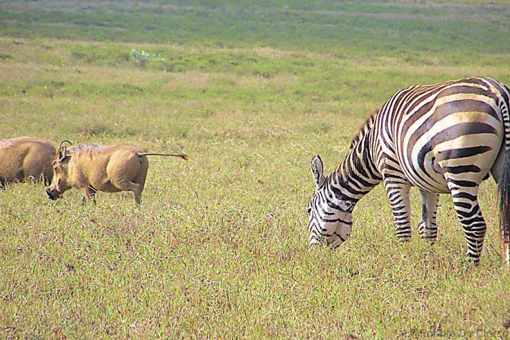 Hell's Gate national Park (38)