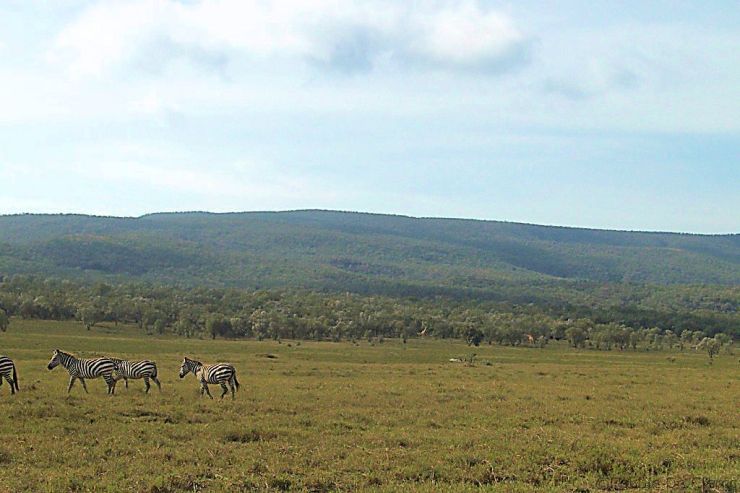 Hell's Gate national Park (39)