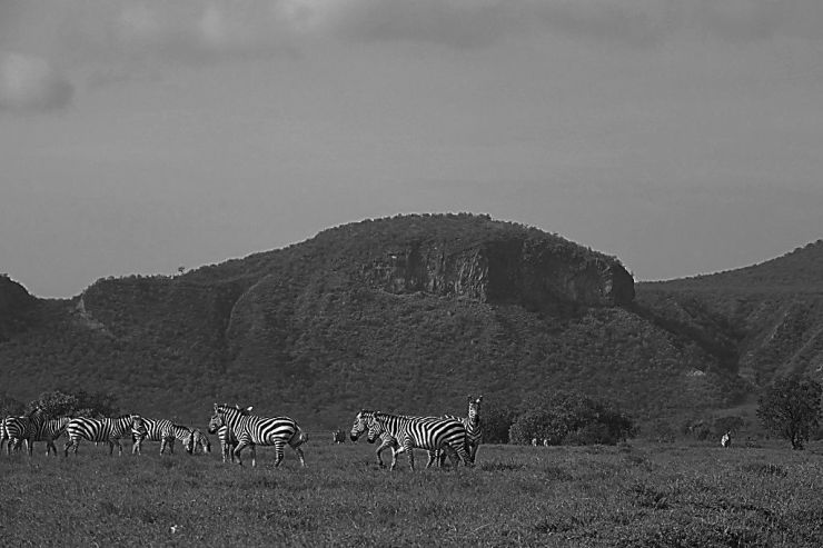 Hell's Gate national Park (42)