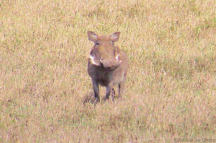 Hell's Gate national Park (44)