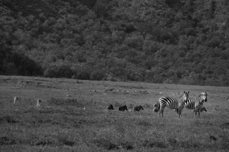 Hell's Gate national Park (45)