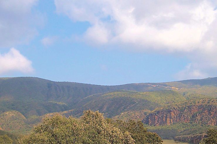 Hell's Gate national Park (48)