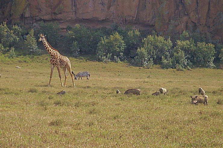 Hell's Gate national Park (50)