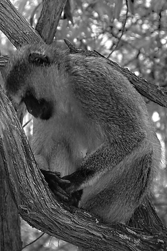 Hell's Gate national Park (58)