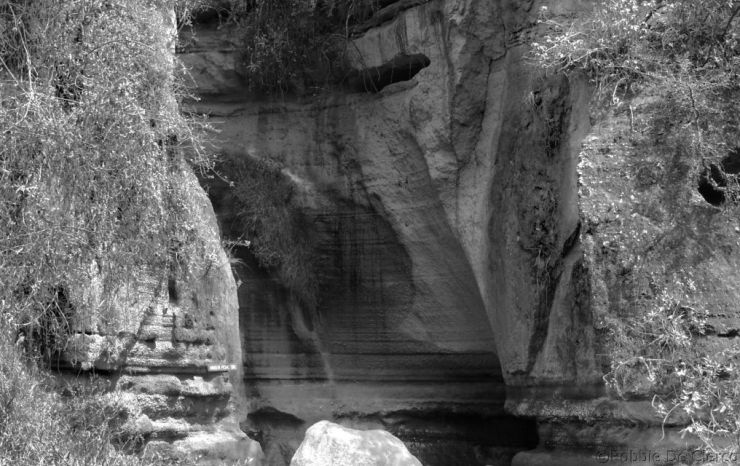 Hell's Gate national Park (60)