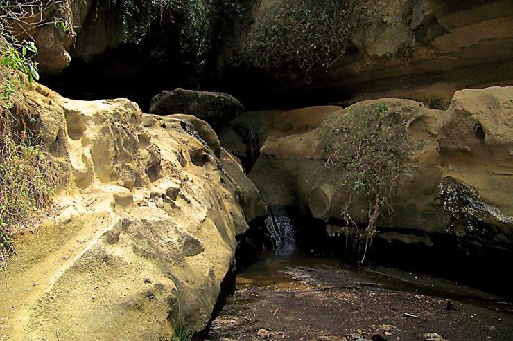 Hell's Gate national Park (61)