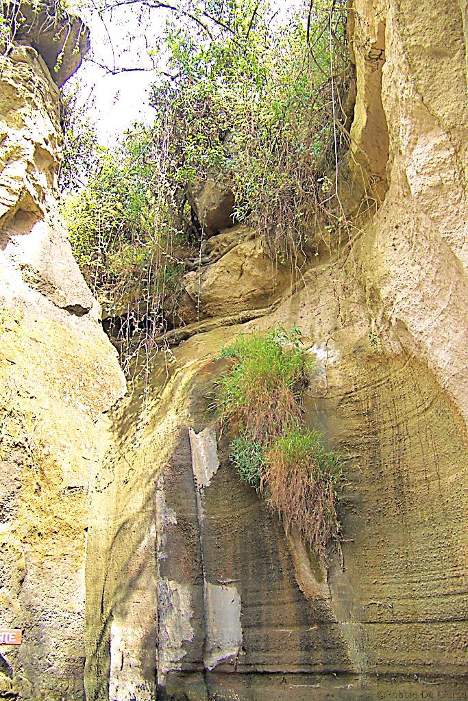 Hell's Gate national Park (62)