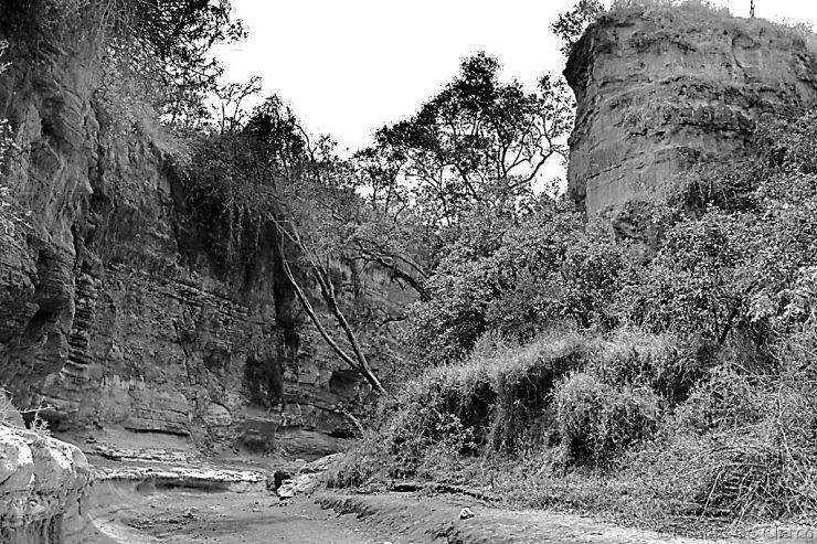 Hell's Gate national Park (67)