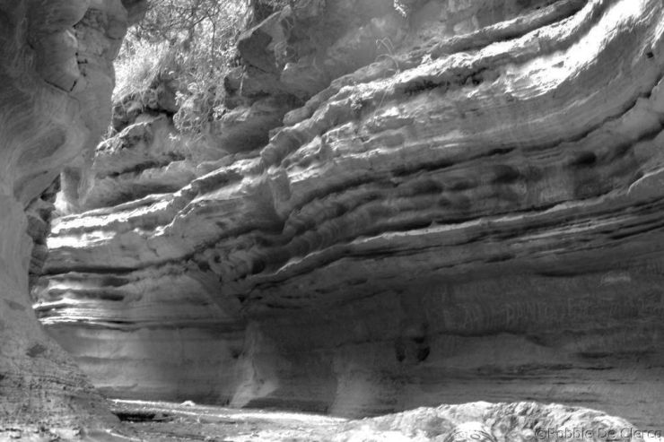 Hell's Gate national Park (72)