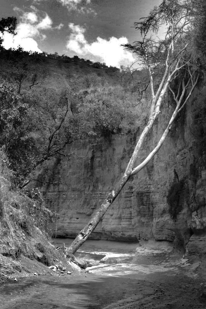 Hell's Gate national Park (76)