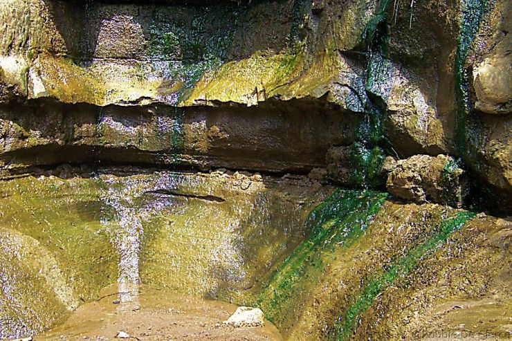 Hell's Gate national Park (77)