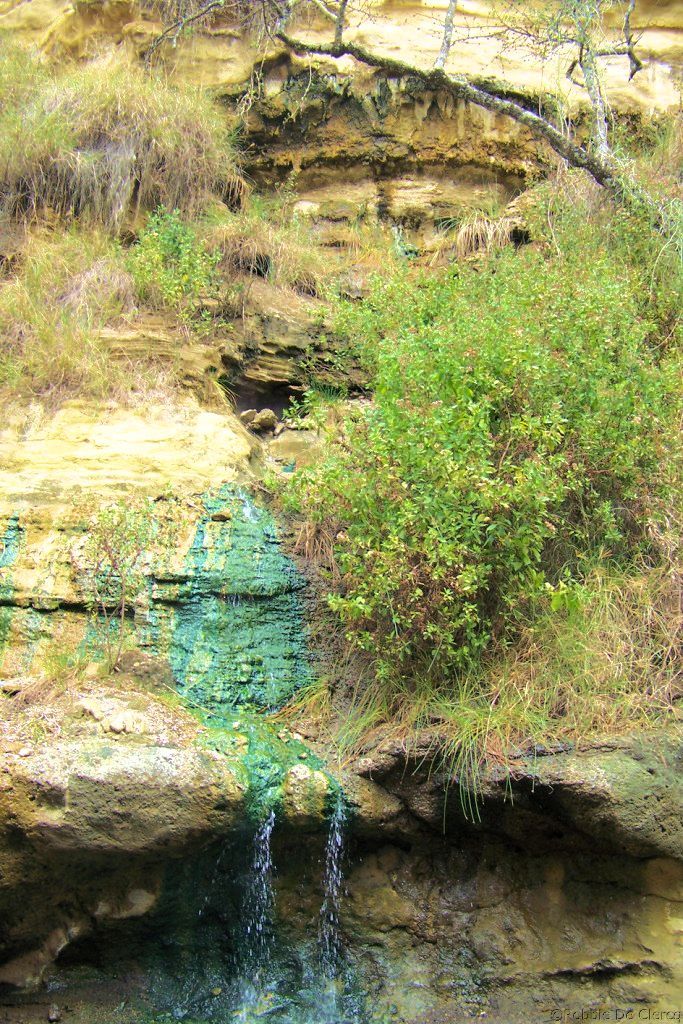 Hell's Gate national Park (83)