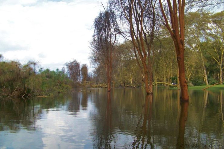 Lake Naivasha (24)