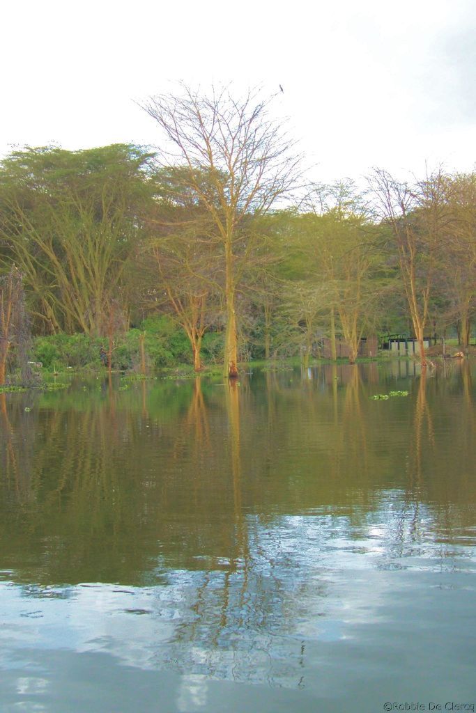 Lake Naivasha (32)
