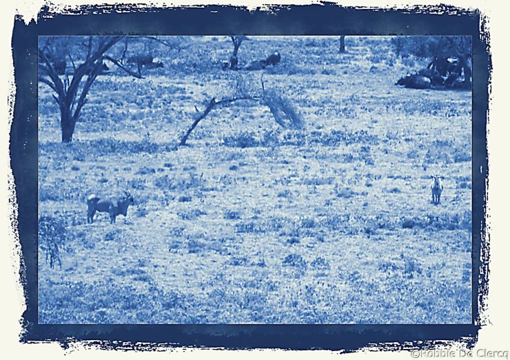 Lake Nakuru National Park (102)