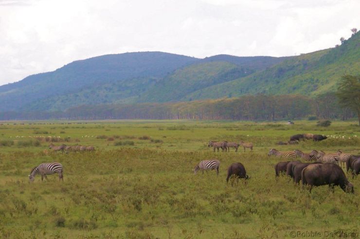 Lake Nakuru National Park (155)