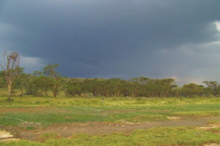 Lake Nakuru National Park (169)