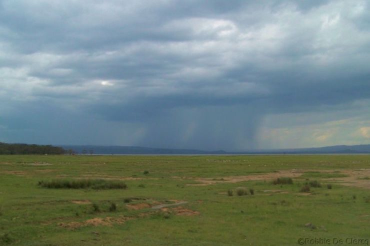 Lake Nakuru National Park (174)