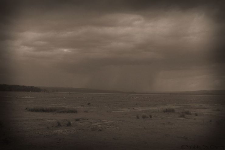 Lake Nakuru National Park (175)